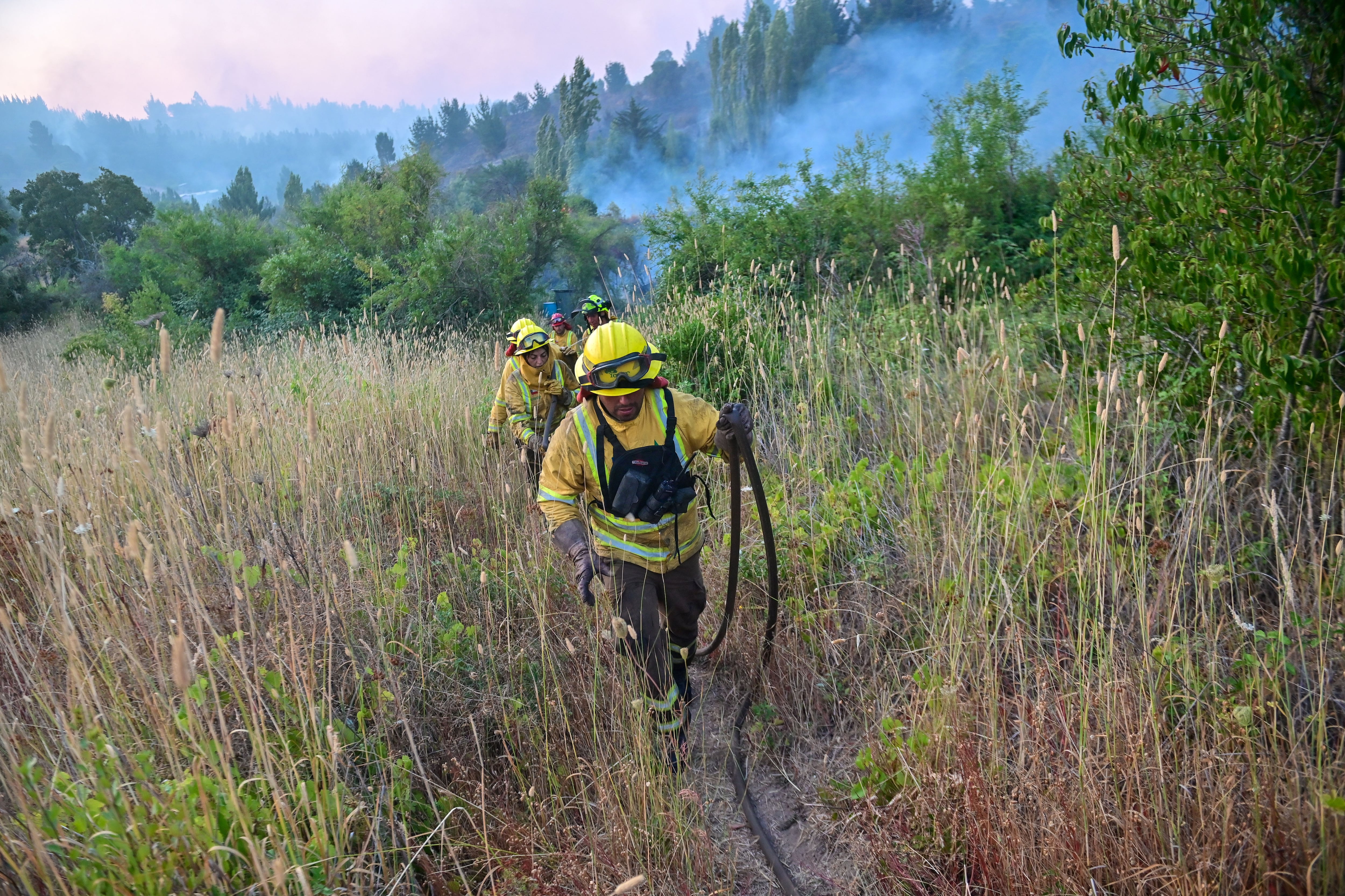 Declaran alerta roja en San Fernando por incendio forestal: llamas podrían alcanzar a empresa de frutas