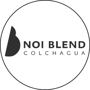Hotel Noi Blend Colchagua