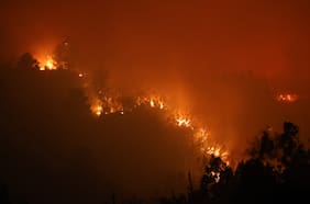 Incendios forestales en Ñuble y Biobío dejan más 20 mil hectáreas afectadas y alrededor de mil personas en albergues