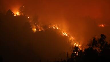 Incendios forestales en Ñuble y Biobío dejan más 20 mil hectáreas afectadas y alrededor de mil personas en albergues