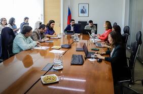 Comité de Ministros mantiene calificación ambiental favorable de parque fotovoltaico en Región Metropolitana