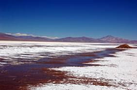 Corte de Apelaciones rechaza acceso a información sobre pertenencias que tiene Codelco en salar de Maricunga