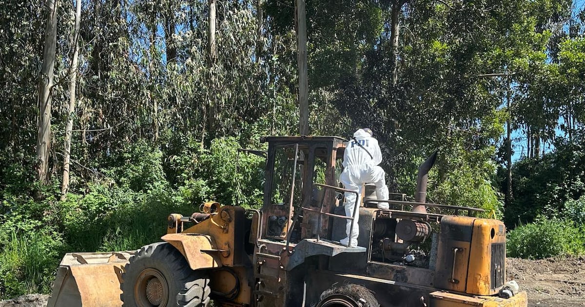 La Araucanía bajo fuego: escalada de violencia rural desafía al Estado y divide a la sociedad