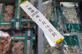 Encuentran coronavirus en camarones ecuatorianos en ciudad china