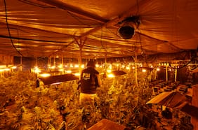 Los tentáculos narcos de la mafia china en Chile