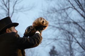 ¿Qué es el Día de la Marmota y cuándo se celebra?