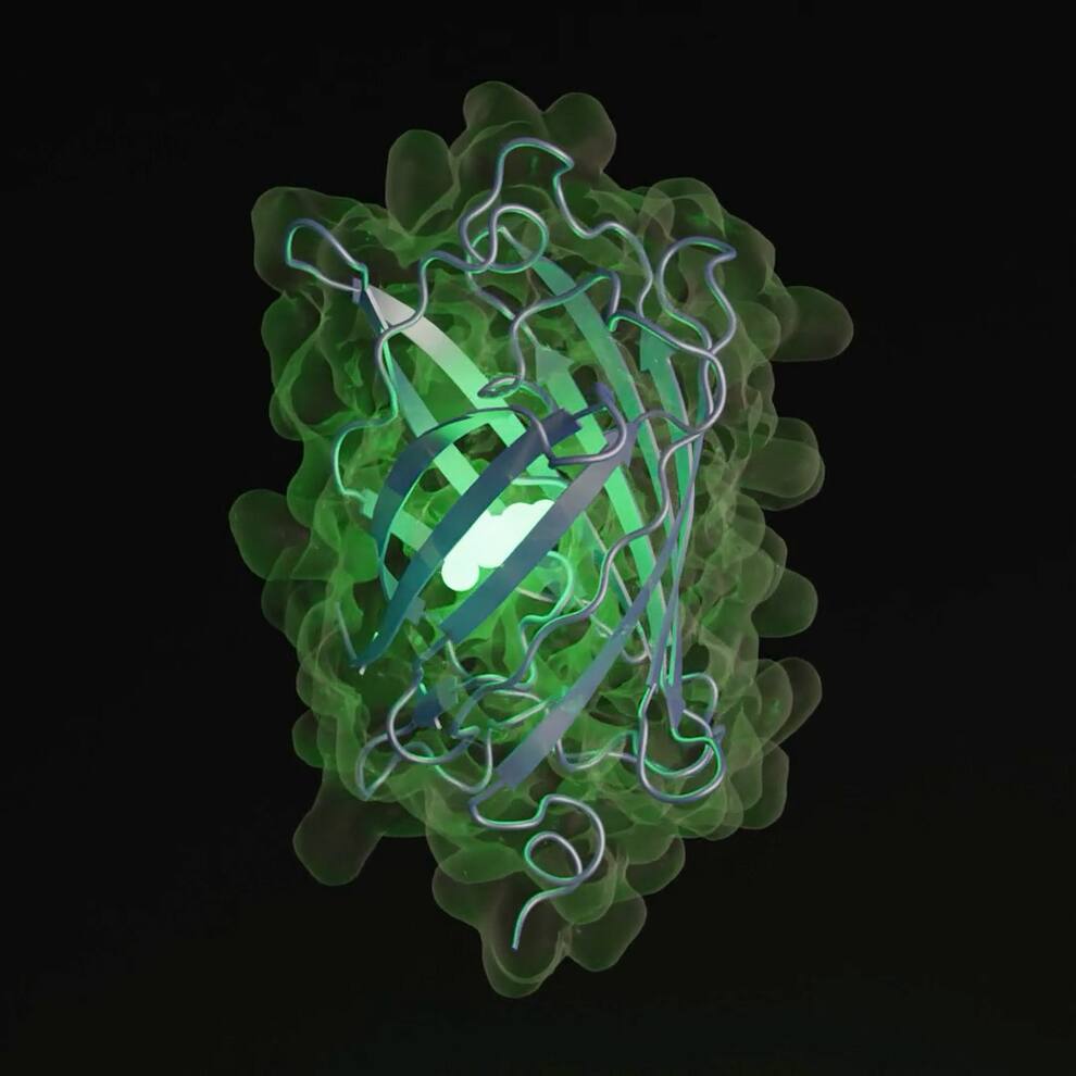 La IA crear una nueva proteína, algo que a la Naturaleza le habría ...