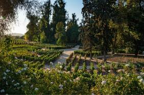 Concha y Toro es la primera viña del mundo en obtener un sello de turismo sustentable