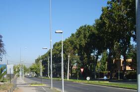 Cambio de nombre a calles: otros casos que levantaron polvo y polémica en la RM