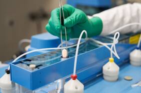 “Un resultado sorprendente”: Ningún paciente con Covid que tomó píldora de Pfizer murió por esta enfermedad