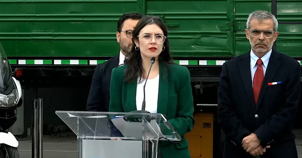 Gobierno remarca carácter terrorista de la CAM tras dichos de Delpiano: “Es conocida la posición del Ejecutivo”