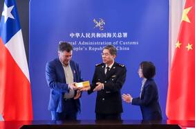 Aduanas de China confirmó que los duraznos y damascos chilenos podrán ingresar desde hoy al país asiático