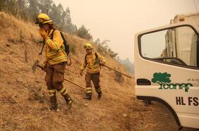 Declaran alerta roja en Curarrehue por incendio forestal en Reserva Nacional Villarrica