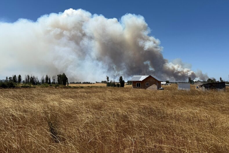 incendios forestales