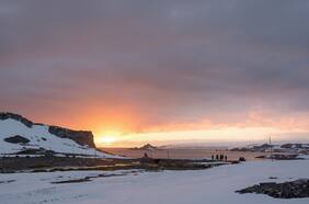 Subtel recibe cuatro ofertas para realizar estudio de factibilidad de cable submarino entre Chile y la Antártica