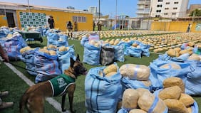 Fiscalía de Antofagasta afirma haber incautado la mayor cantidad de marihuana en la historia nacional