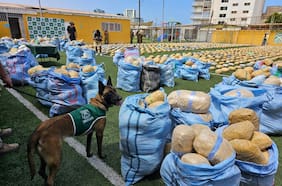 Fiscalía de Antofagasta afirma haber incautado la mayor cantidad de marihuana en la historia nacional