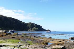 La isla de la discordia: Ubicada en Chiloé, fue puesta en venta en US$ 20 millones y ahora busca convertirse en una zona protegida por pueblos originarios