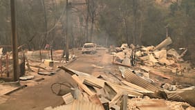 Incendios en Ñuble y Biobío: aseguradoras han recibido más de 320 denuncias de siniestros en primer balance oficial