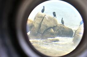 Zoom y tomas nocturnas mejoradas: las cámaras de los nuevos Samsung Galaxy S24