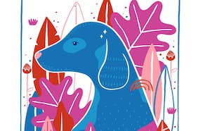 Horóscopo Chino 2018 por Pedro Engel: marzo