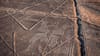 Accidente aéreo en Perú: 13 personas mueren durante sobrevuelo turístico en las Líneas de Nazca