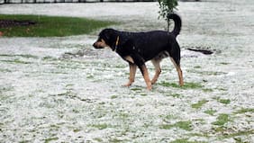 Anuncian un “fenómeno inusual” de lluvia y nieve en Santiago: cuándo y cómo será el evento