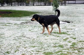 Anuncian un “fenómeno inusual” de lluvia y nieve en Santiago: cuándo y cómo será el evento