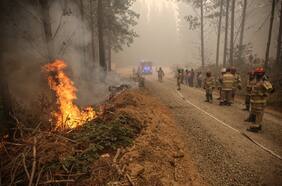 Cuáles son las medidas de apoyo para los afectados por incendios forestales