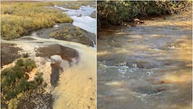 Por qué los ríos de Alaska están tiñéndose de naranja y vertidos tóxicos, según investigadores