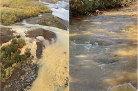 Por qué los ríos de Alaska están tiñéndose de naranja y vertidos tóxicos, según investigadores