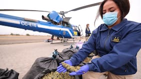 PDI saca de circulación más de 58 millones de dosis de droga en Plan Cannabis 2026