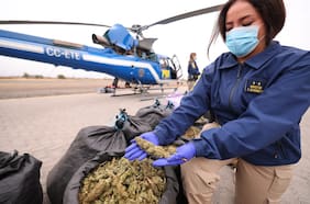 PDI saca de circulación más de 58 millones de dosis de droga en Plan Cannabis 2026