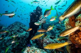Chile busca liderar la gobernanza oceánica global desde Valparaíso