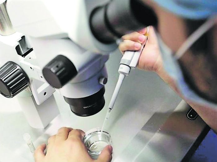 Congelar óvulos en edades fértiles surge como alternativa frente a los altos costos del tratamiento in vitro.