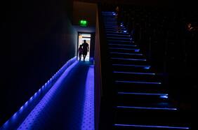 Columna de Alberto Fuguet: El llamado salvaje (volver al cine en salas; un réquiem)