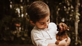 Los perros aprenden palabras de la misma forma que los bebés humanos, según un estudio