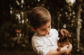 Los perros aprenden palabras de la misma forma que los bebés humanos, según un estudio