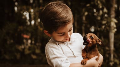 Los perros aprenden palabras de la misma forma que los bebés humanos, según un estudio