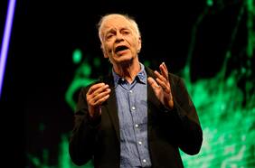 Peter Singer, el más famoso defensor de los animales: “Si queremos reducir el sufrimiento debemos ayudar a los animales de granja”