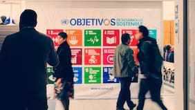Por qué es importante el aporte de la educación superior a los Objetivos de Desarrollo Sostenible (ODS)