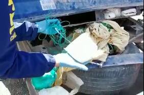 Formalizan a concejal de Camiña por tráfico de drogas