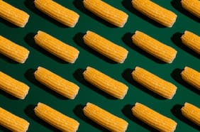 Temporada de choclos: formas de conseguirlo, cocinarlo y comerlo