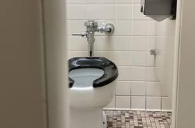 ¿Cuál es el riesgo de usar baños públicos? Es lo que explican dos científicos
