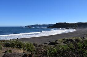 Desembocadura del Biobío es declarada oficialmente Santuario de la Naturaleza