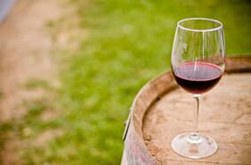 Cepa país: nueve botellas de esta uva que vale la pena descubrir