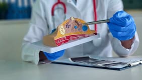 Científicos identifican cómo una red nerviosa potencia el cáncer de mama: esto dice su investigación