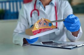 Científicos identifican cómo una red nerviosa potencia el cáncer de mama: esto dice su investigación