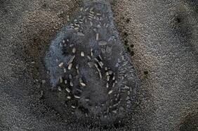 Así es el Stonehenge español que apareció tras la sequía extrema