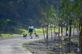Acceso retringido a cerros
